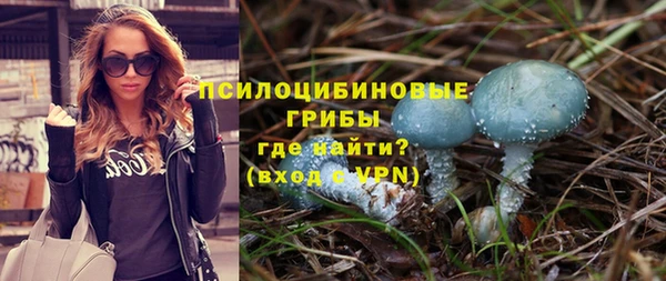 дурь Абаза